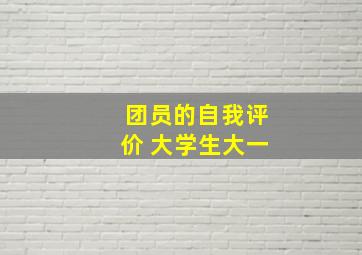 团员的自我评价 大学生大一